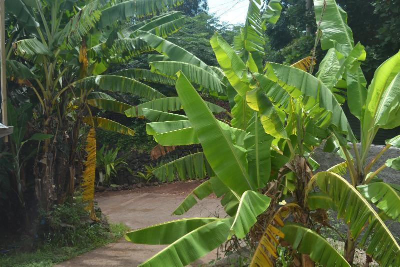 Cabanas Manuto Hanga Roa Exterior foto